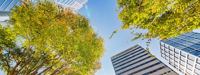 Commercial office buildings