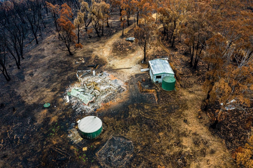 bush fire destruction