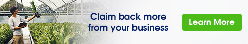 2020_EW186-BMT-Insider-banner-targeted-at-business-owners